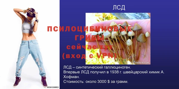 эйфоретик Елабуга