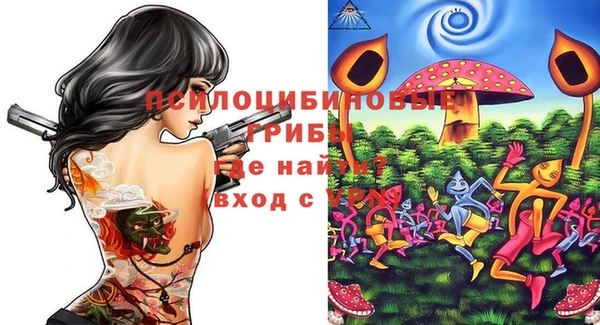 эйфоретик Осинники
