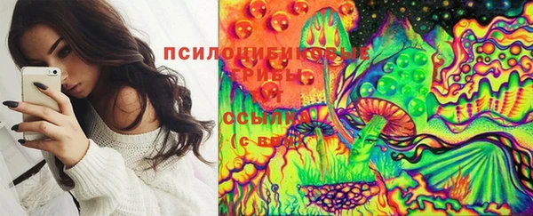 эйфоретик Елабуга