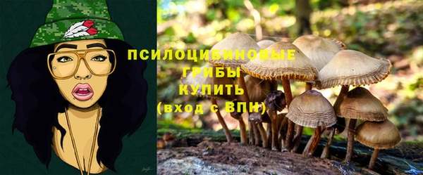 эйфоретик Елабуга