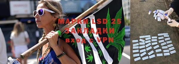 ПСИЛОЦИБИНОВЫЕ ГРИБЫ Елизово