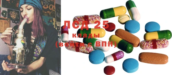 PSILOCYBIN Осташков