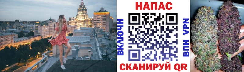 где можно купить   Ростов  Канабис ГИДРОПОН 